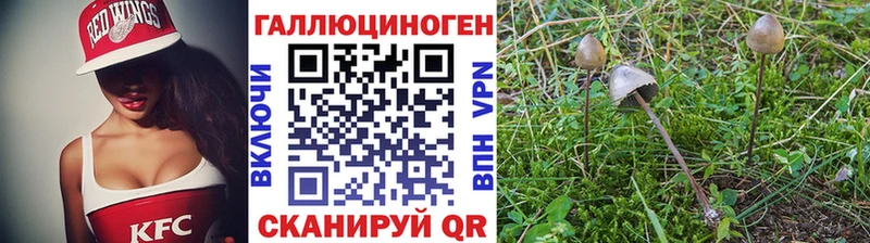 дарнет шоп  Красково  MEGA ссылки  Псилоцибиновые грибы Magic Shrooms 